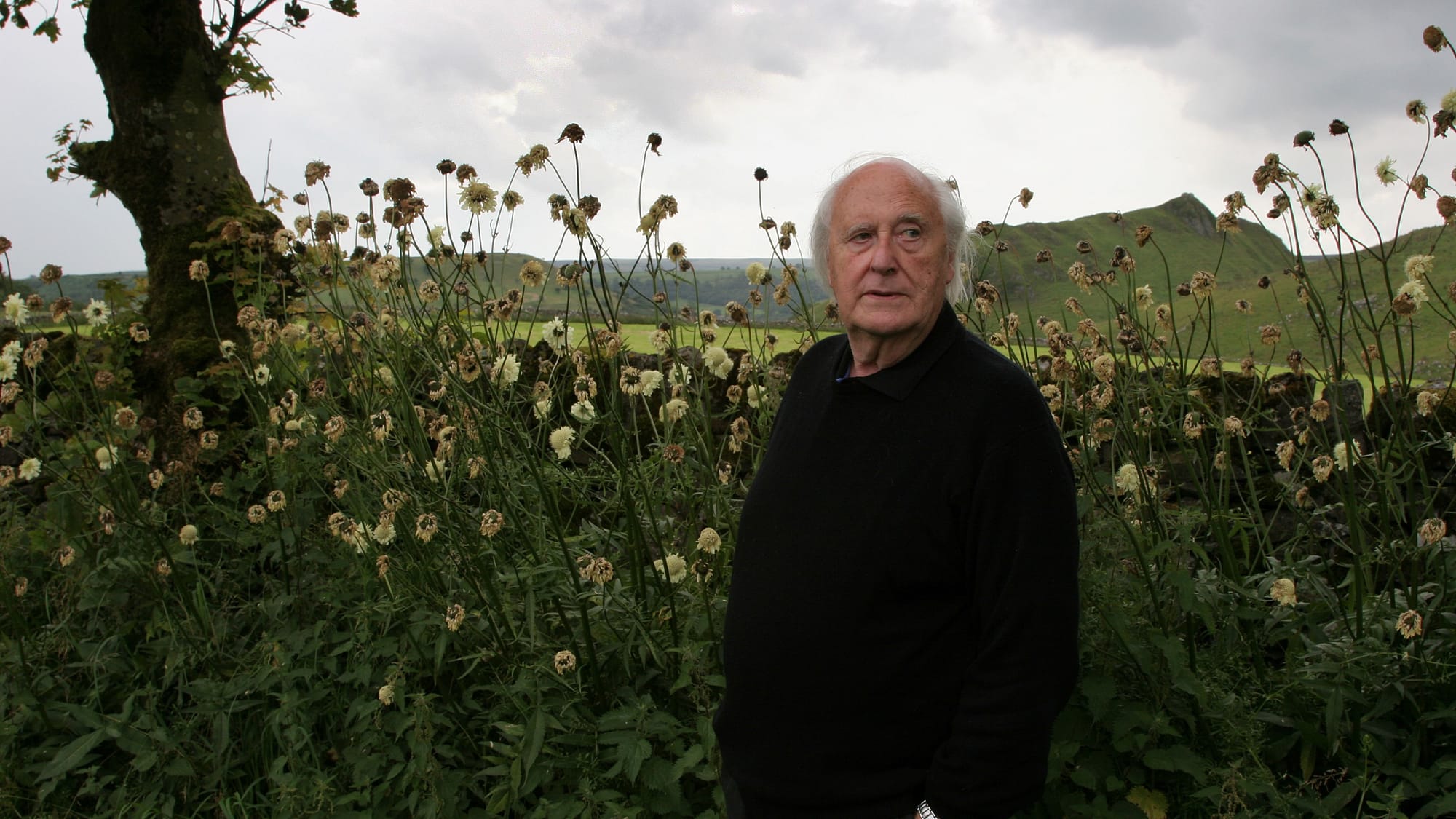 Our city, my city and Roy Fisher’s ‘City’