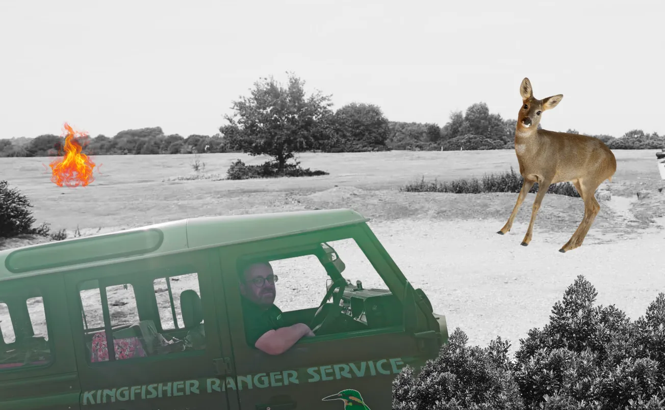 Danny, champion of Sutton Park